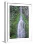 Port Angeles Falls-George Johnson-Framed Photographic Print