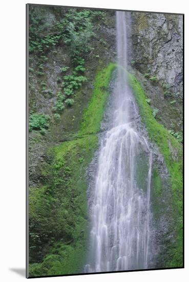 Port Angeles Falls-George Johnson-Mounted Photographic Print