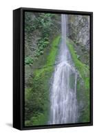 Port Angeles Falls-George Johnson-Framed Stretched Canvas