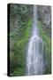 Port Angeles Falls-George Johnson-Stretched Canvas