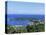 Port Antonio, Jamaica-Doug Pearson-Stretched Canvas