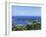 Port Antonio, Jamaica-Doug Pearson-Framed Photographic Print