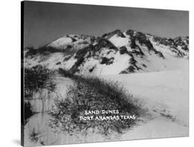 Port Aransas, Texas - Sand Dunes-Lantern Press-Stretched Canvas