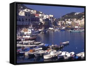 Port at Village of Ponza, Pontine Islands, Italy-Connie Ricca-Framed Stretched Canvas