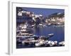 Port at Village of Ponza, Pontine Islands, Italy-Connie Ricca-Framed Photographic Print