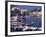 Port at Village of Ponza, Pontine Islands, Italy-Connie Ricca-Framed Photographic Print