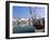 Port Basin, Commune De La Flotte, Ile De Re, Charente Maritime, France-Bruno Barbier-Framed Photographic Print