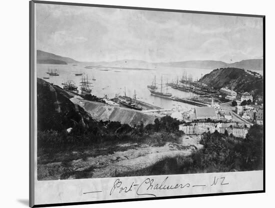 Port Chalmers-null-Mounted Photographic Print