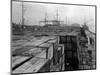 Port Commission Dock, Seattle, Undated-Asahel Curtis-Mounted Giclee Print