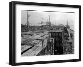 Port Commission Dock, Seattle, Undated-Asahel Curtis-Framed Giclee Print