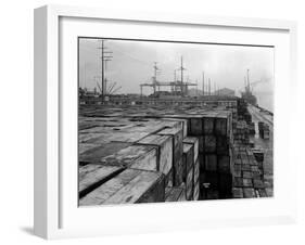 Port Commission Dock, Seattle, Undated-Asahel Curtis-Framed Giclee Print