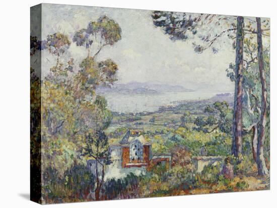 Port De Saint Tropez, 1906-Henri Lebasque-Stretched Canvas