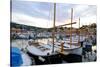 Port de Soller, Majorca, Balearic Islands, Spain, Mediterranean, Europe-Carlo Morucchio-Stretched Canvas