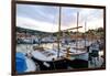 Port de Soller, Majorca, Balearic Islands, Spain, Mediterranean, Europe-Carlo Morucchio-Framed Photographic Print