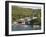 Port Elizabeth, Bequia, St. Vincent and the Grenadines, Windward Islands, West Indies, Caribbean-Michael DeFreitas-Framed Photographic Print