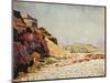 Port-en Bessin, the 14 of July-Paul Signac-Mounted Giclee Print