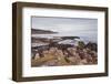 Port English-Julian Elliott-Framed Photographic Print