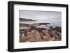 Port English-Julian Elliott-Framed Photographic Print