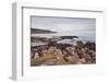 Port English-Julian Elliott-Framed Photographic Print