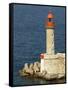 Port Lighthouse Guards Entrance to Harbor, Bastia, Corsica, France-Trish Drury-Framed Stretched Canvas