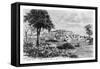 Port Limon and Uvas Island, C1890-A Kohl-Framed Stretched Canvas