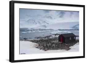 Port Lockroy Research Station, Antarctica, Polar Regions-Michael Runkel-Framed Photographic Print