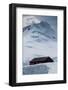 Port Lockroy Research Station, Antarctica, Polar Regions-Michael Runkel-Framed Photographic Print