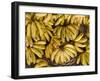 Port Louis, Central Market, Bananas, Mauritius-Walter Bibikow-Framed Photographic Print