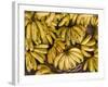 Port Louis, Central Market, Bananas, Mauritius-Walter Bibikow-Framed Photographic Print