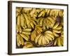 Port Louis, Central Market, Bananas, Mauritius-Walter Bibikow-Framed Photographic Print