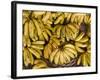 Port Louis, Central Market, Bananas, Mauritius-Walter Bibikow-Framed Photographic Print