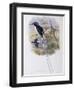 Port-Moresby Racket-Tailed Kingfisher-John Gould-Framed Giclee Print