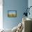 Port, Naoussa, Paros, Cyclades, Aegean, Greek Islands, Greece, Europe-Tuul-Framed Stretched Canvas displayed on a wall