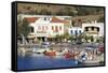 Port of Gavrio, Andros Island, Cyclades, Greek Islands, Greece, Europe-Richard-Framed Stretched Canvas