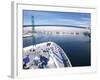 Port of Los Angles, Harbor, Cruise Ship Landing, California, USA-Terry Eggers-Framed Photographic Print