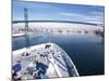 Port of Los Angles, Harbor, Cruise Ship Landing, California, USA-Terry Eggers-Mounted Photographic Print