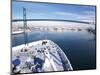 Port of Los Angles, Harbor, Cruise Ship Landing, California, USA-Terry Eggers-Mounted Photographic Print