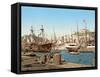 Port of Naples, Pub. C.1891-null-Framed Stretched Canvas