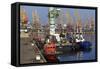 Port of Odessa, Crimea, Ukraine, Europe-Richard Cummins-Framed Stretched Canvas