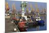 Port of Odessa, Crimea, Ukraine, Europe-Richard Cummins-Mounted Photographic Print