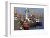 Port of Odessa, Crimea, Ukraine, Europe-Richard Cummins-Framed Photographic Print