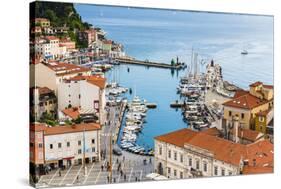 Port of Piran (Luka Piran), Primorska, Slovenian Istria, Slovenia, Europe-Matthew Williams-Ellis-Stretched Canvas