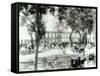 Port of Spain, Trinidad, 1891-null-Framed Stretched Canvas