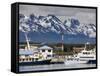 Port of Ushuaia, Tierra Del Fuego, Patagonia, Argentina, South America-Richard Cummins-Framed Stretched Canvas