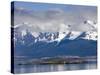 Port of Ushuaia, Tierra Del Fuego, Patagonia, Argentina, South America-Richard Cummins-Stretched Canvas