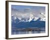 Port of Ushuaia, Tierra Del Fuego, Patagonia, Argentina, South America-Richard Cummins-Framed Photographic Print