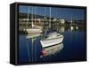 Port St. Mary, Isle of Man, United Kingdom, Europe-Maxwell Duncan-Framed Stretched Canvas