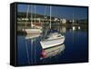 Port St. Mary, Isle of Man, United Kingdom, Europe-Maxwell Duncan-Framed Stretched Canvas