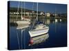 Port St. Mary, Isle of Man, United Kingdom, Europe-Maxwell Duncan-Stretched Canvas