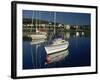 Port St. Mary, Isle of Man, United Kingdom, Europe-Maxwell Duncan-Framed Photographic Print